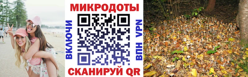 kraken сайт  Гремячинск  Псилоцибиновые грибы Cubensis  хочу  